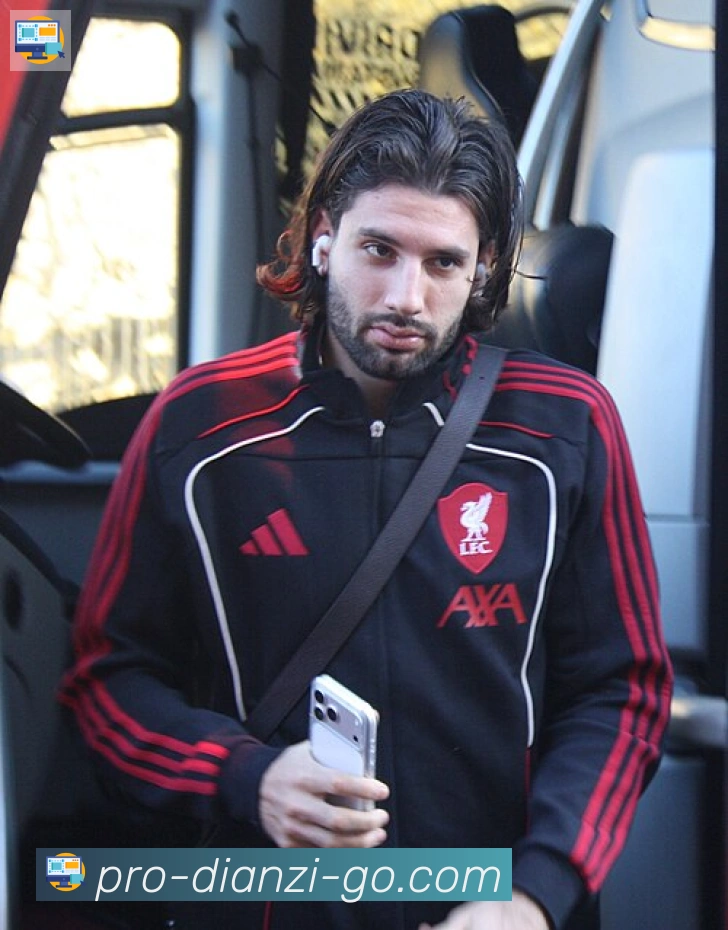 阿什拉夫·哈基米